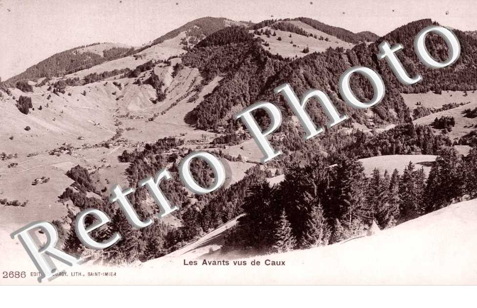 Vue de Caux