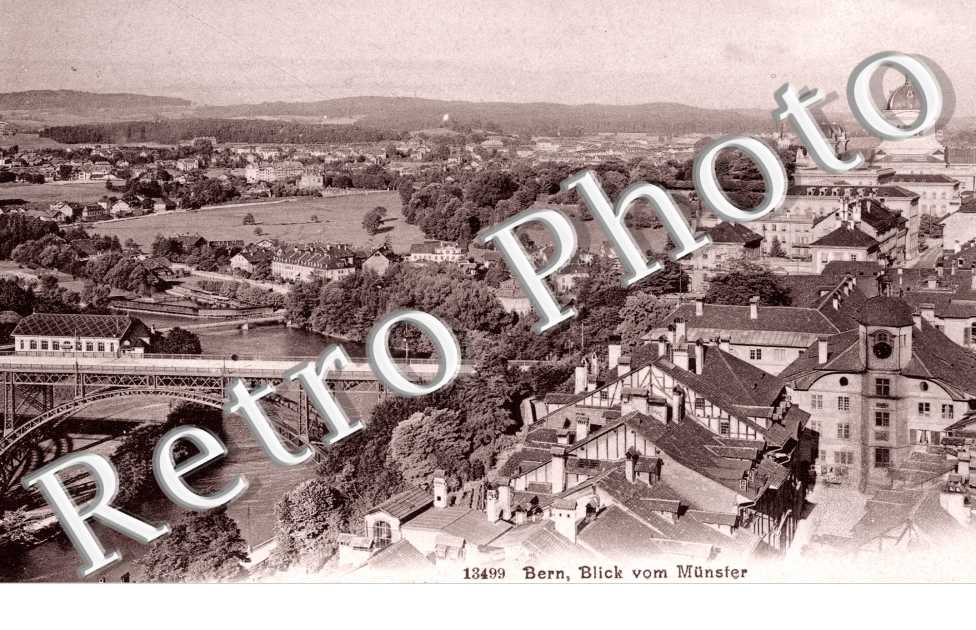 Blick vom Munster