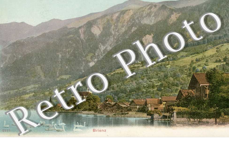 vue générale