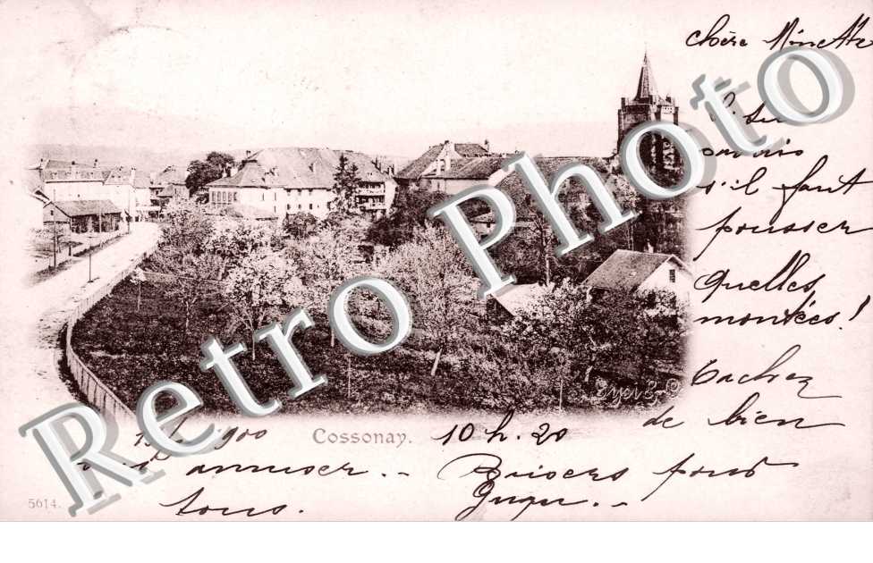 Vue Partielle