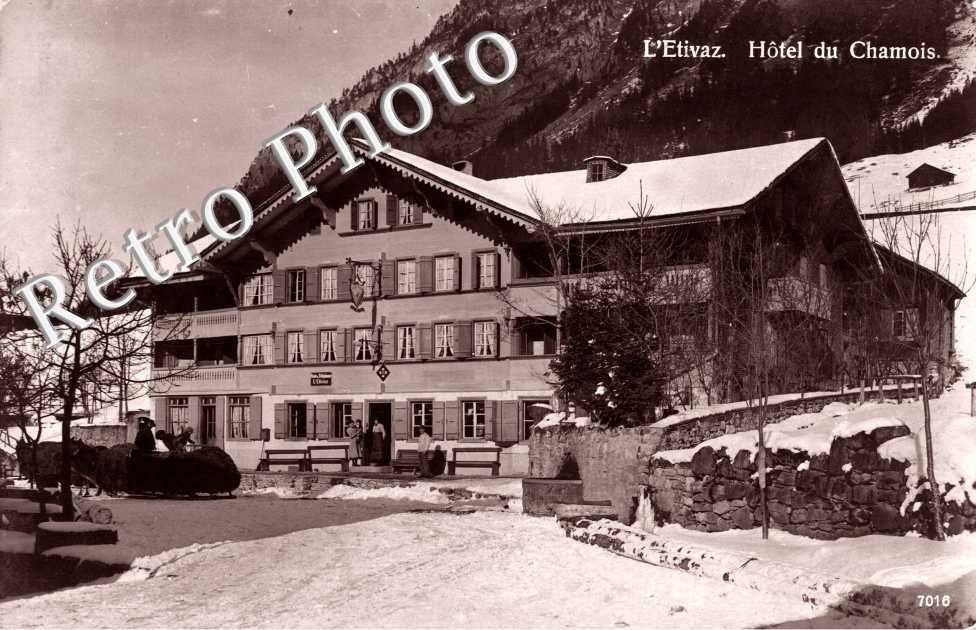 Hotel du Chamois