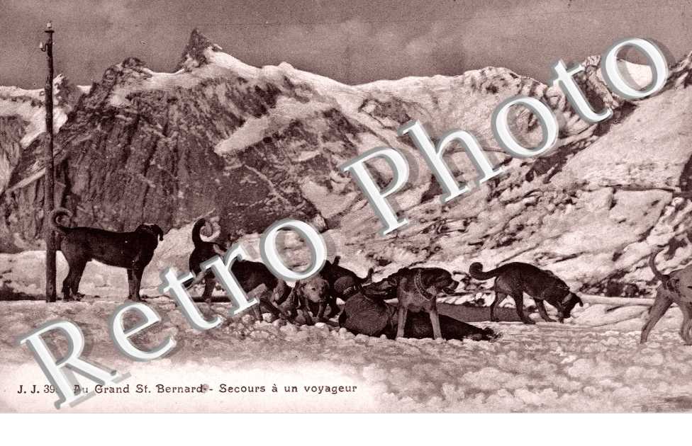 Au Grand Saint Bernard, Secours a un  voyageur