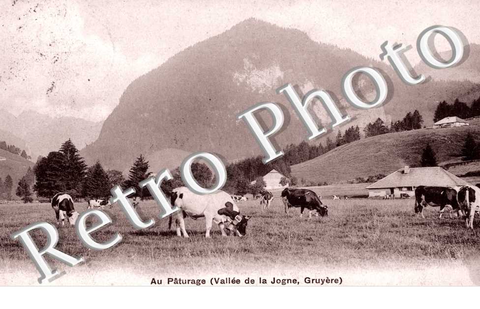 Au Pâturage (vallée de la Jogne)