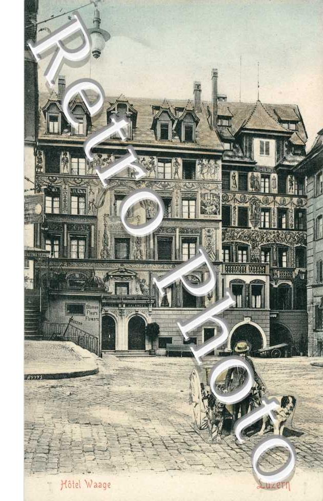 Atellage de chiens, Hotel Waage
