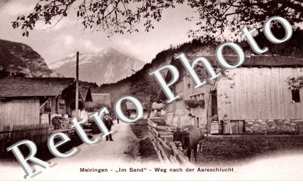 Wag nach der Aareschlucht