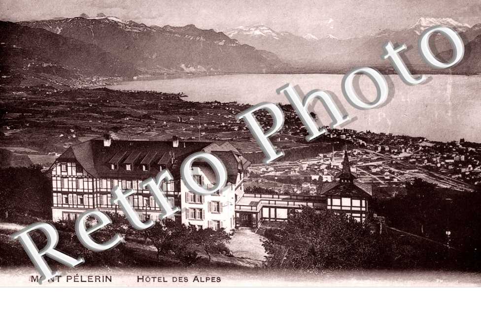 Hotel des Alpes
