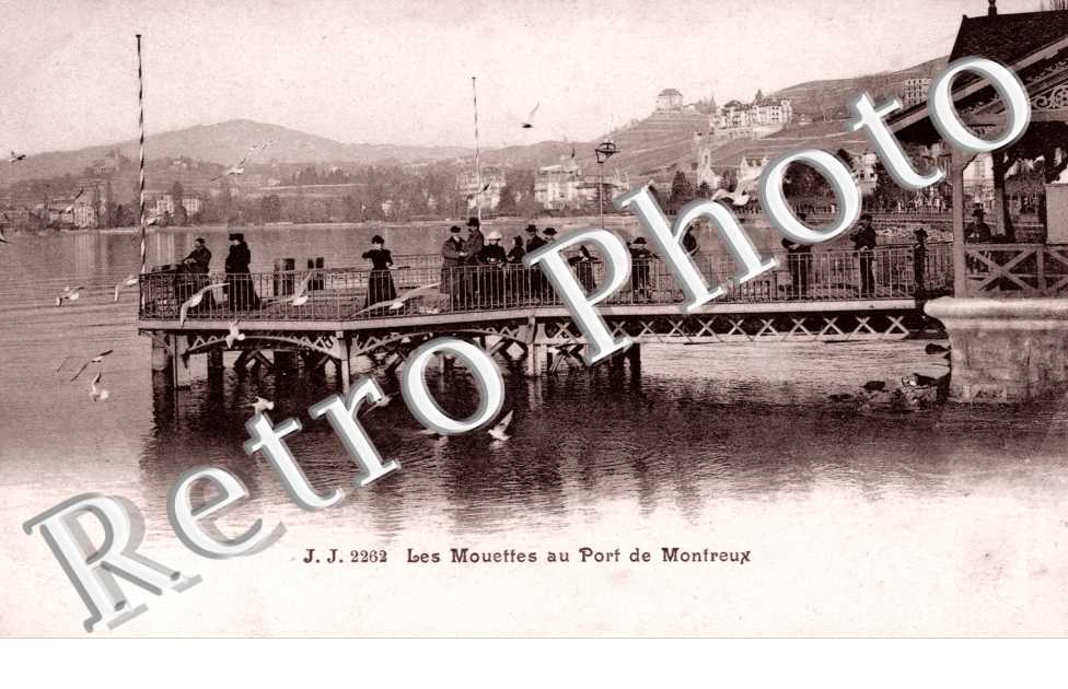 Les Mouettes au port de Montreux