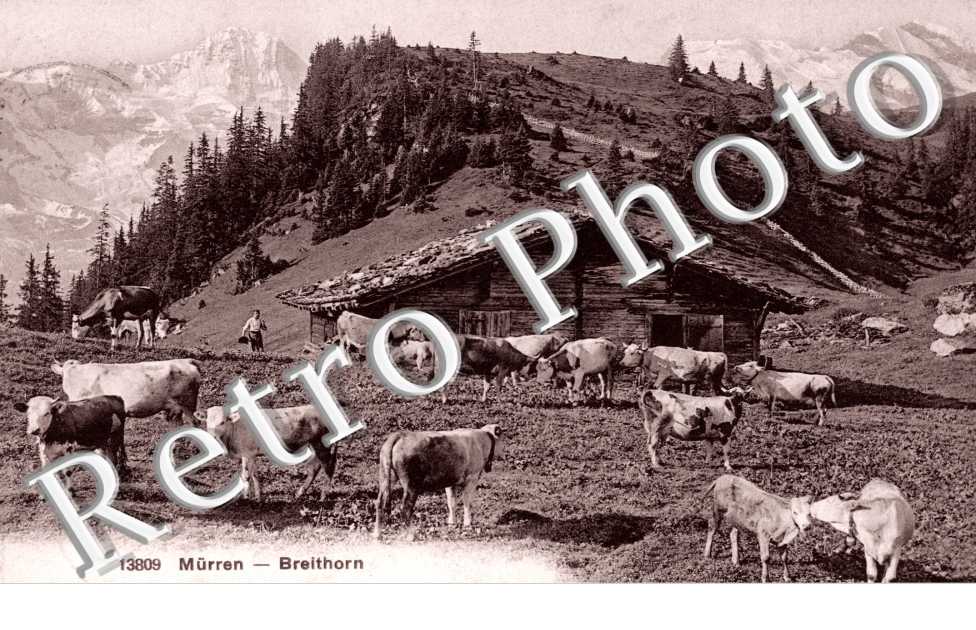 Breithorn