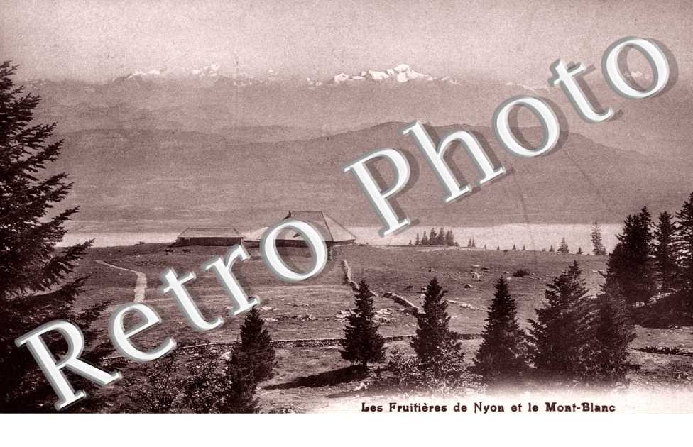 Les fruitieres de Nyon et le Mont Blanc