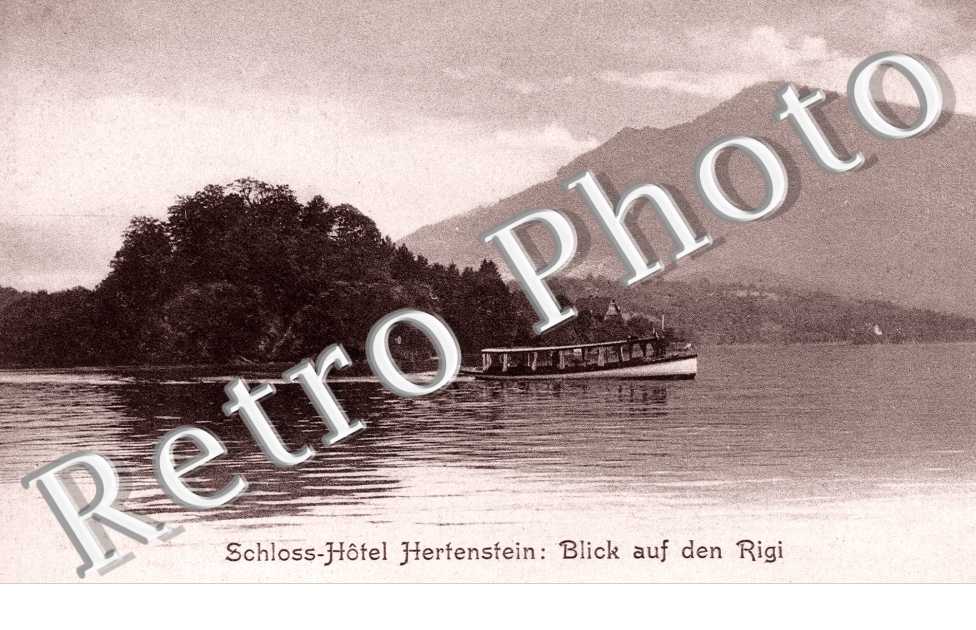 Schloss Hotel Hertenstein: blick auf den rigi