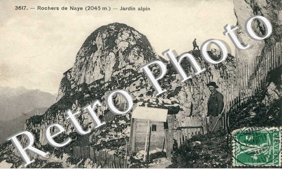 Jardin Alpin