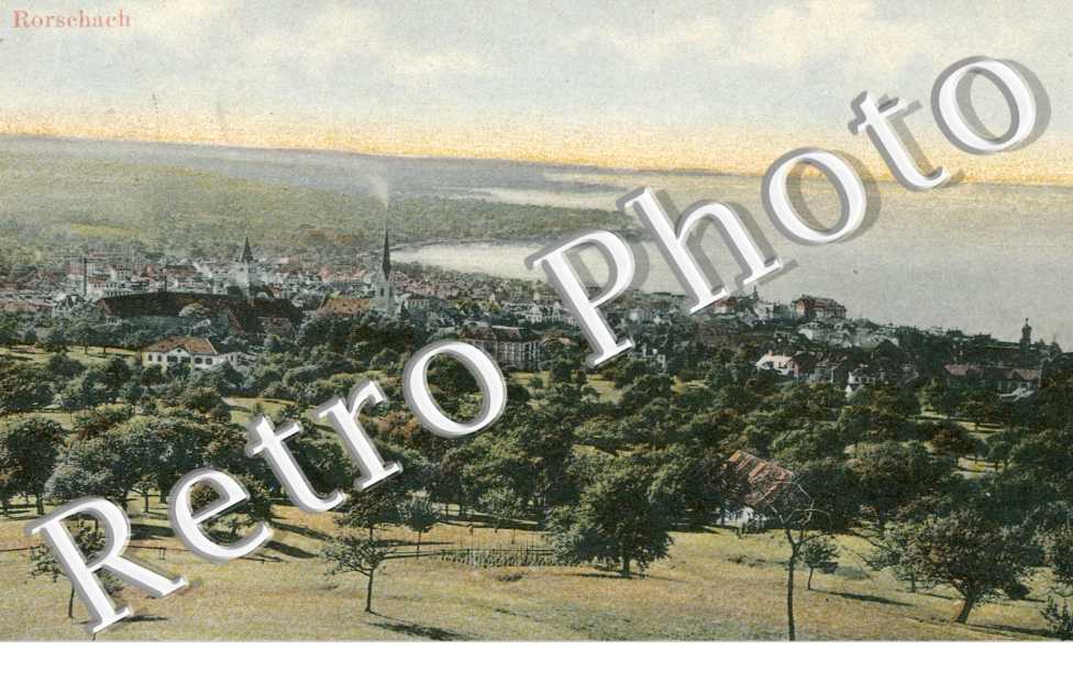 Vue Panoramique