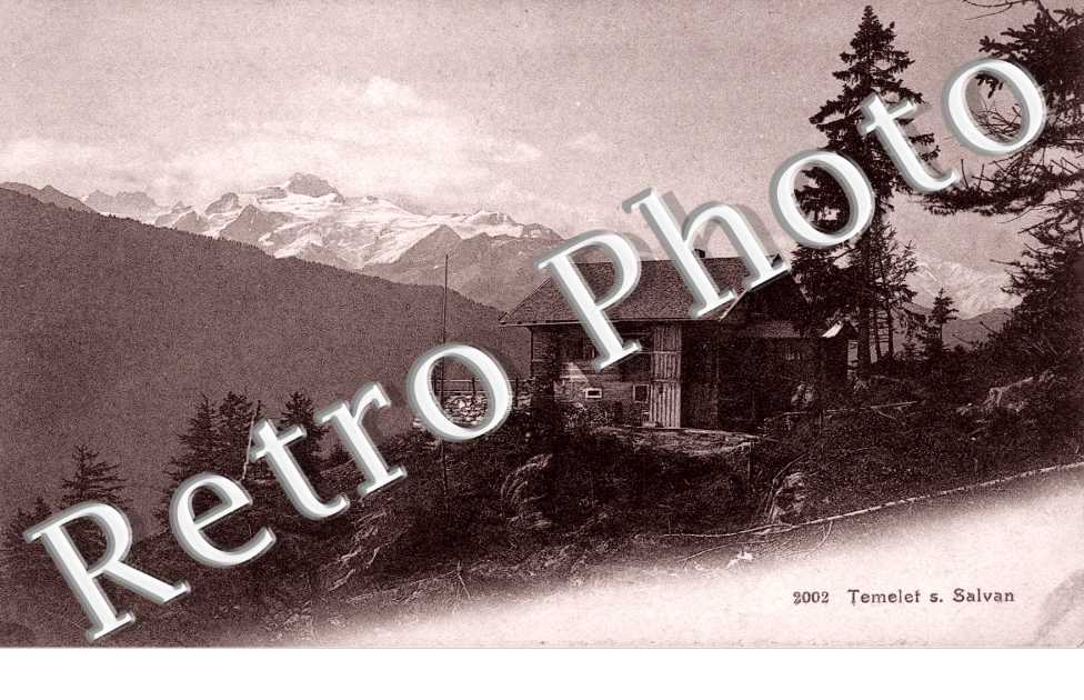 Temelef