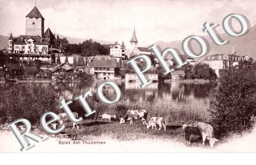 Spiez am Thunersee