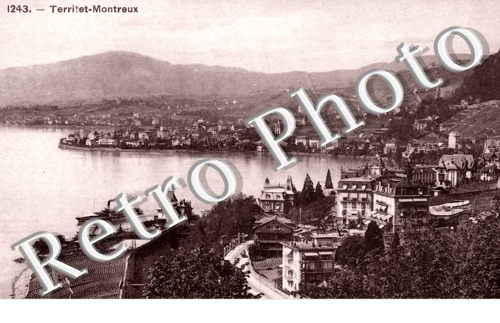 Vue Panoramique