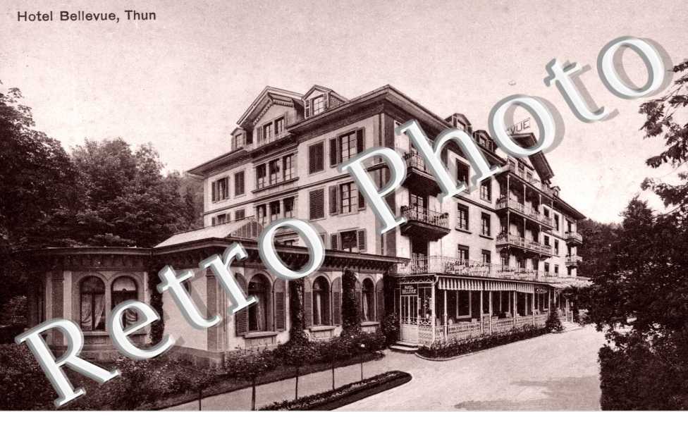 Hotel Bellevue
