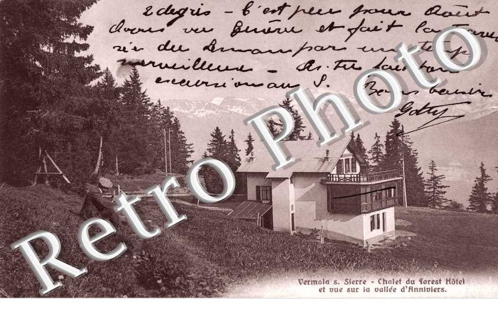 Chalet du Forest Hotel et Vue sur la Vallee d&#039;Anniviers