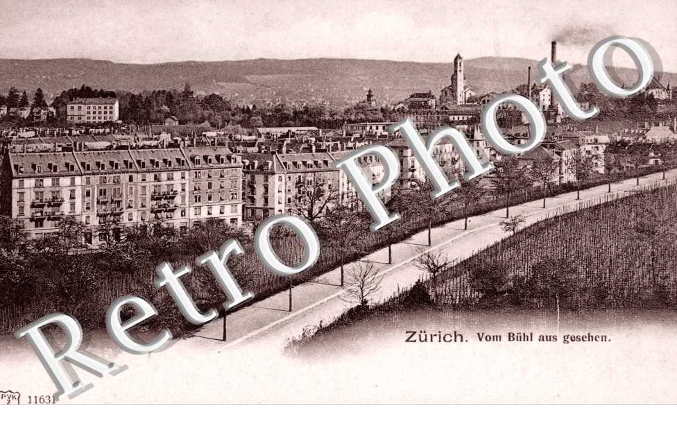Vom Buhl aus gesehen. Vue de Buhl