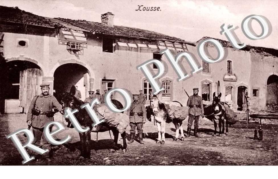 militaires allemands et leurs mules