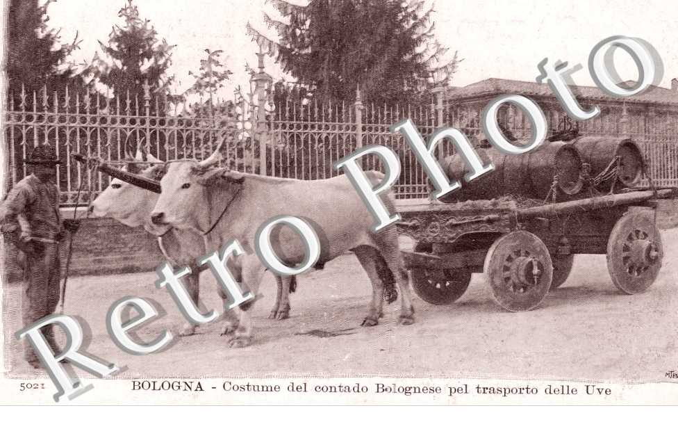 Costume del contado Bolognese pel trasporto delle Uve
