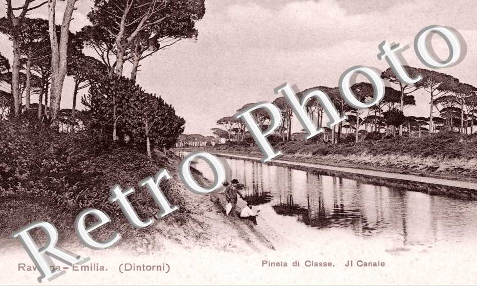 pineta di classe