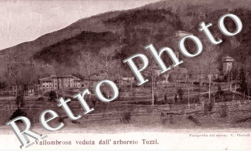 Veduta dall&#039;Arboreto Tozzi