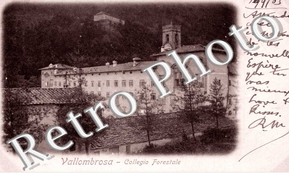 Collegio Forestale