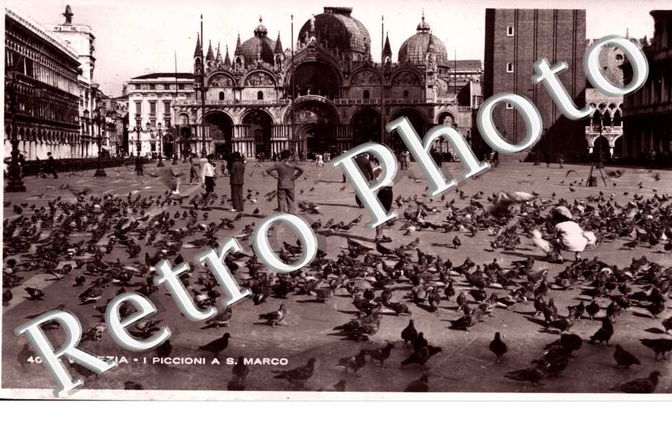 I Piccioni a San Marco