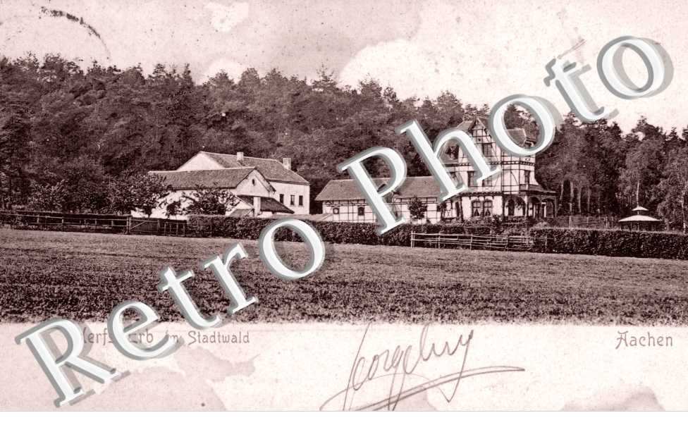 Herfs Erb im Stadtwald