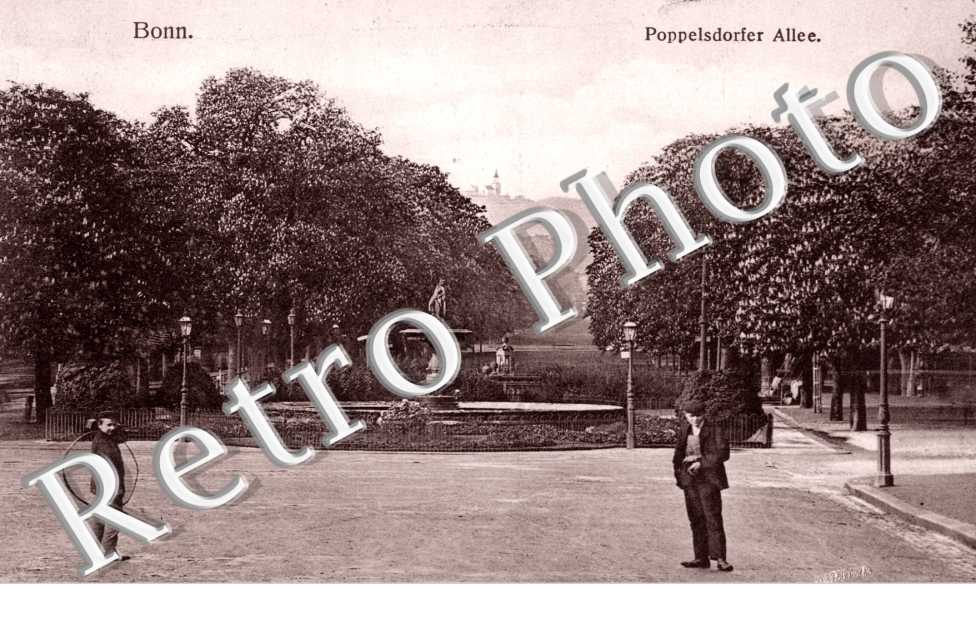 Poppelsdorfer Allee