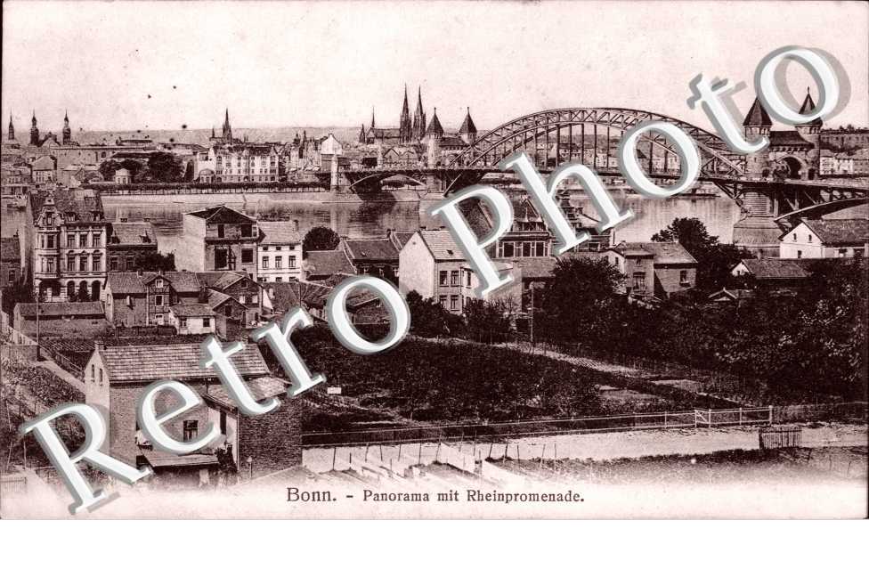 Panorama mit Rheinpromenade