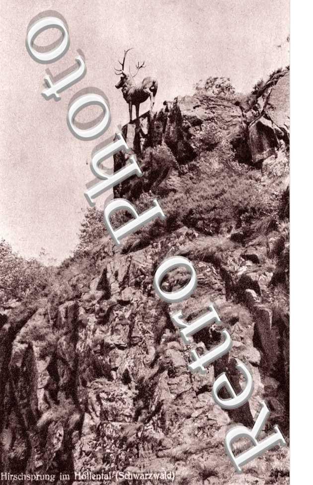 hirschprung im Hollental