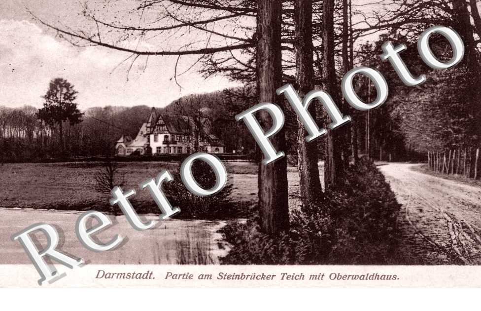 partie am Steinbrucker teich mit Oberwaldhaus