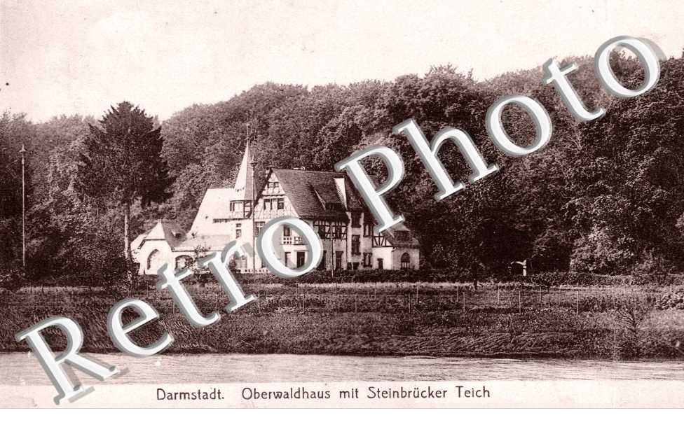 Oberwaldhaus mit Steinbrucker teich