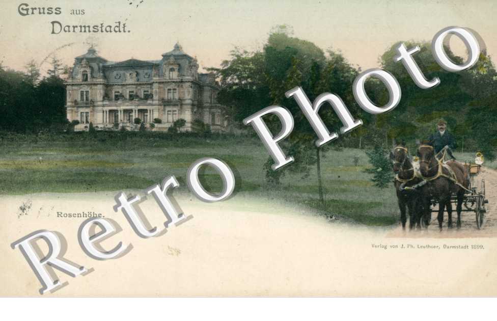 Rosenhohe