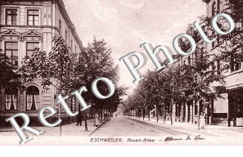 Rosen Allee