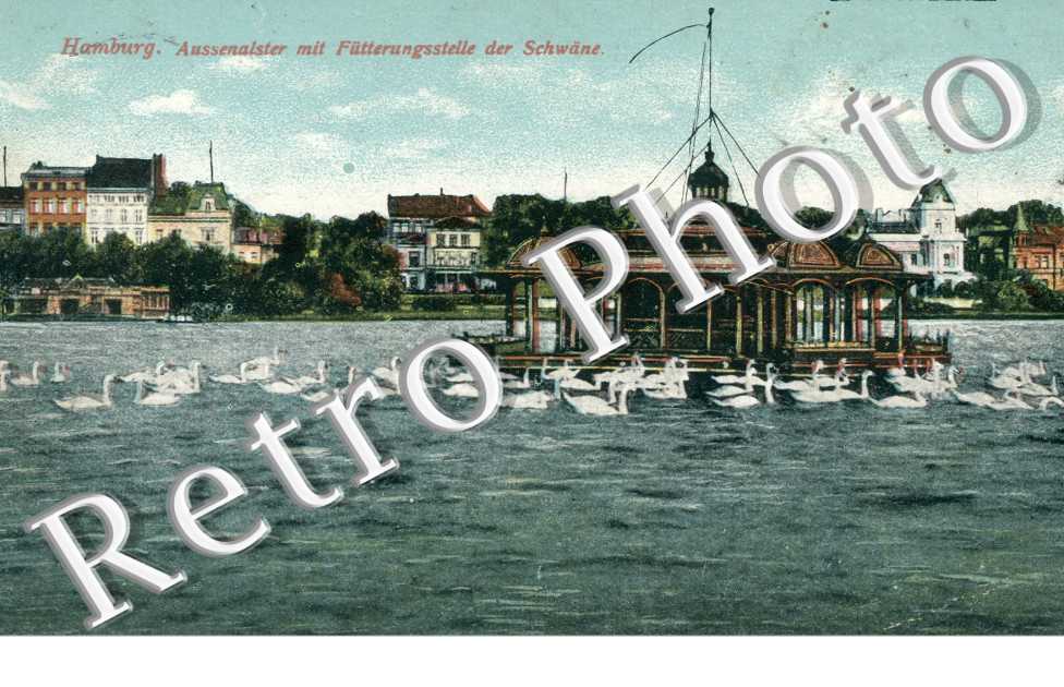 Auseenalster mit Futterungsstelle der Schwane