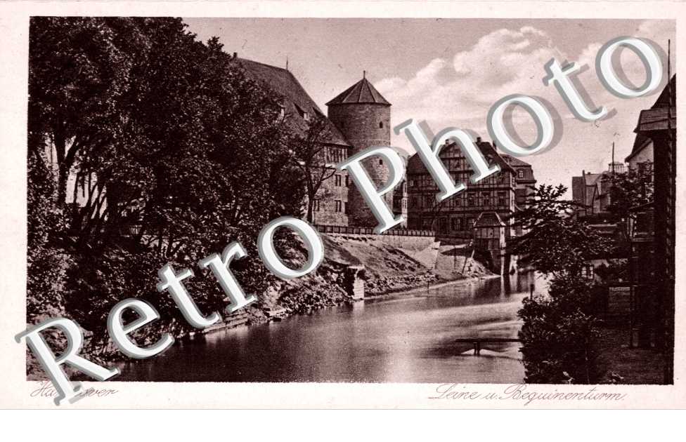 Partie an der Leine