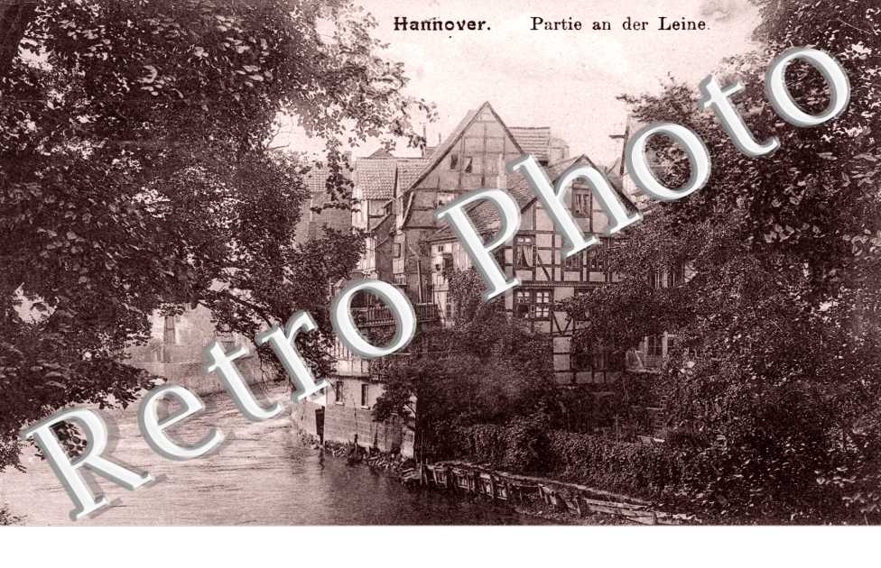 Partie an der Leine