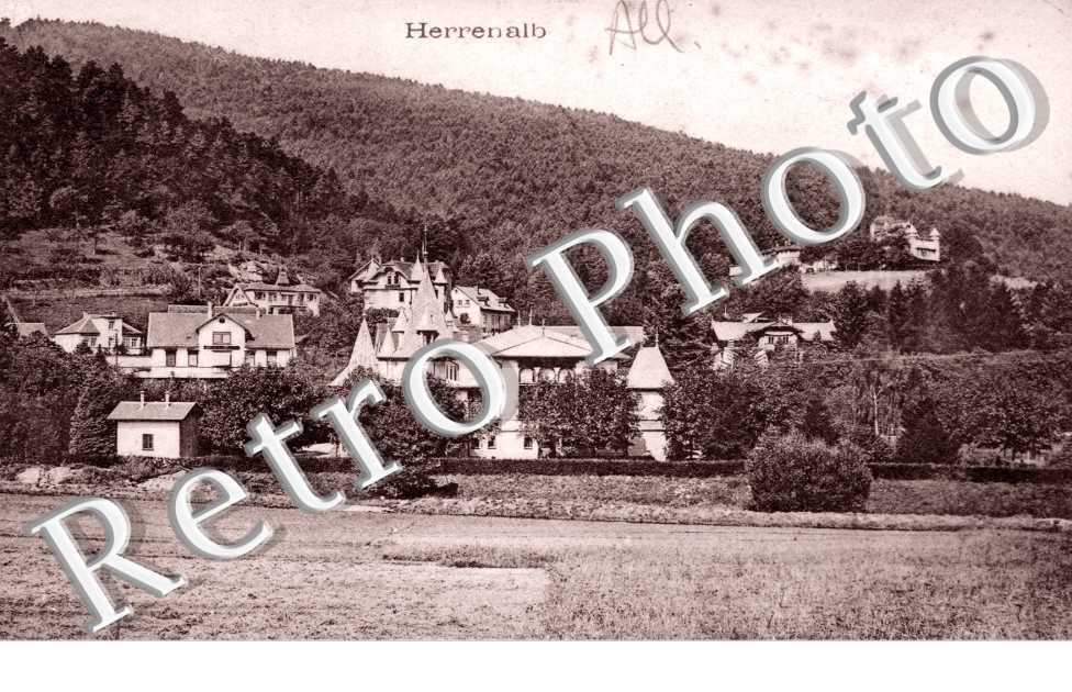 Vue Panoramique