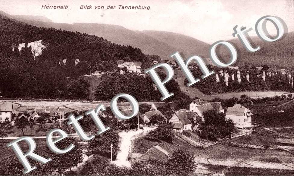 Blick von der Tannenburg