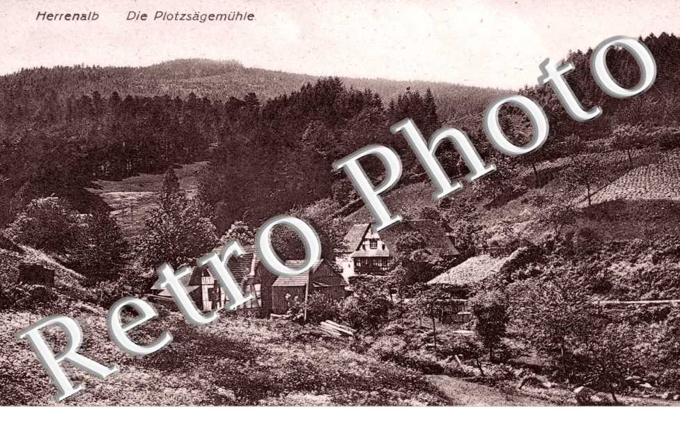Die plotzsägemühle