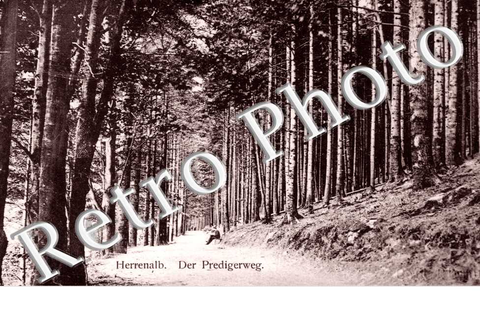 Der Predigerweg
