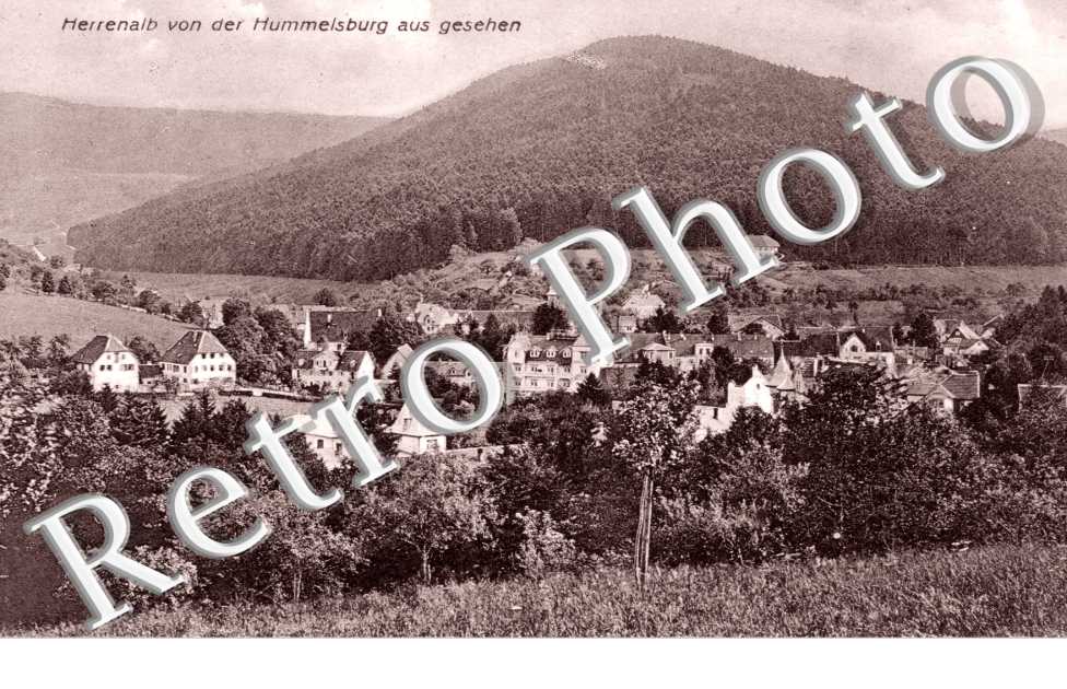 Herrenalb von der Hummelsburg aus gesehen