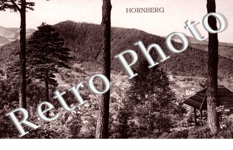Vue Panoramique