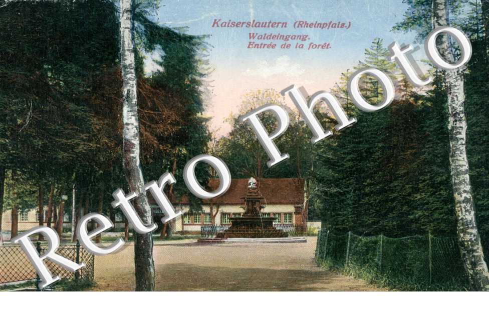 entrée de la Forêt