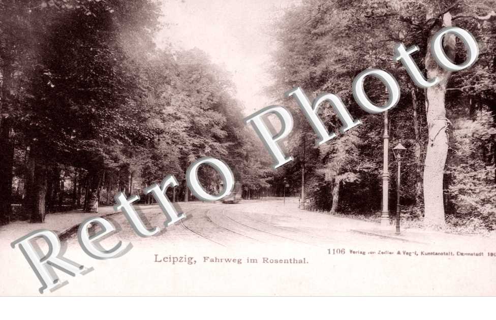 Fahrweg im Rosenthal