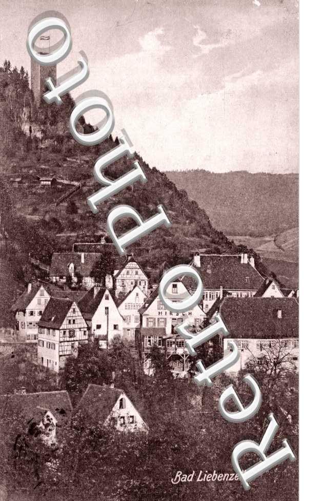 Vue Panoramique