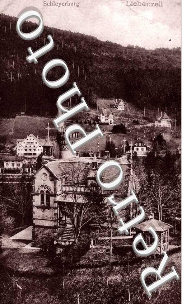 Schleyerburg