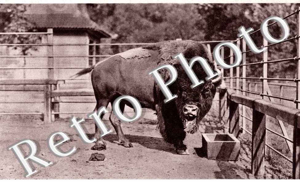 Westfalischer Zoologischer Garten